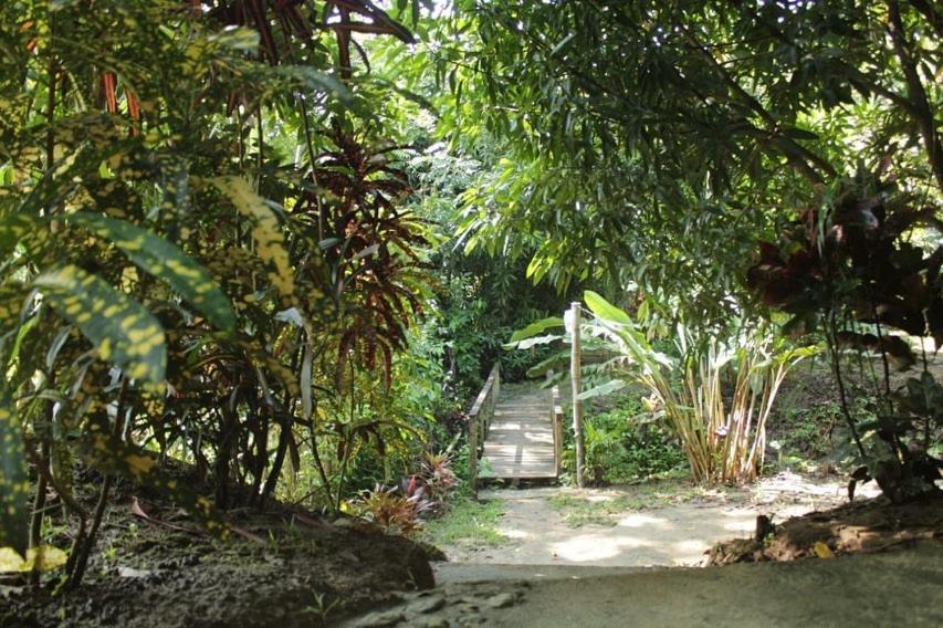 Hostal Mama Tayrona Calabazo  Exteriör bild
