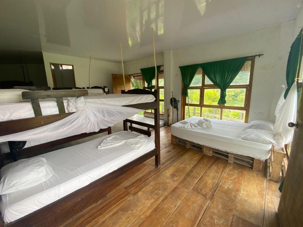 Hostal Mama Tayrona Calabazo  Exteriör bild