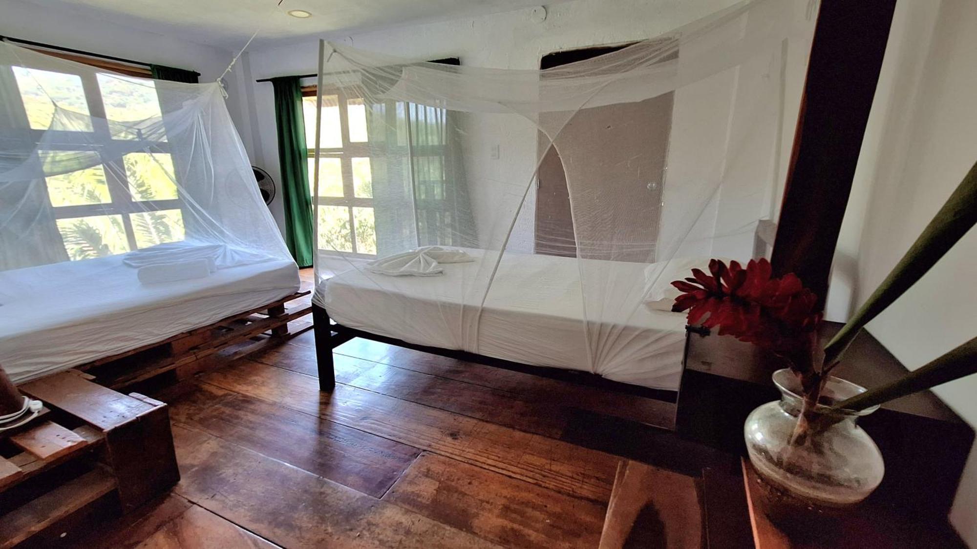 Hostal Mama Tayrona Calabazo  Exteriör bild