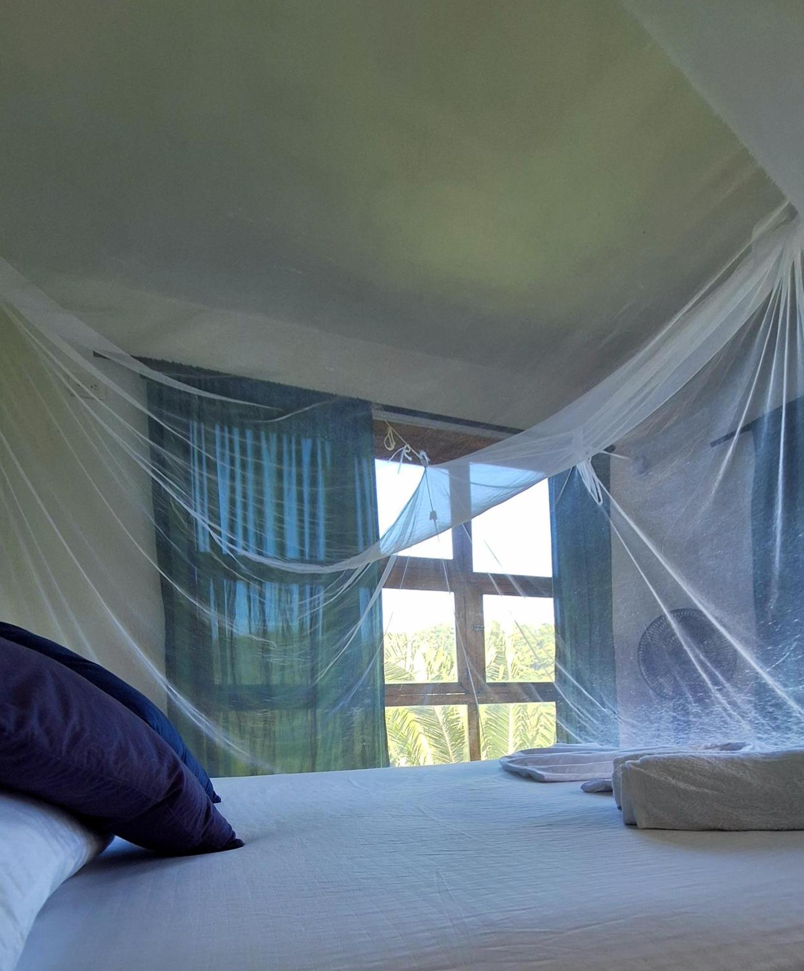 Hostal Mama Tayrona Calabazo  Exteriör bild