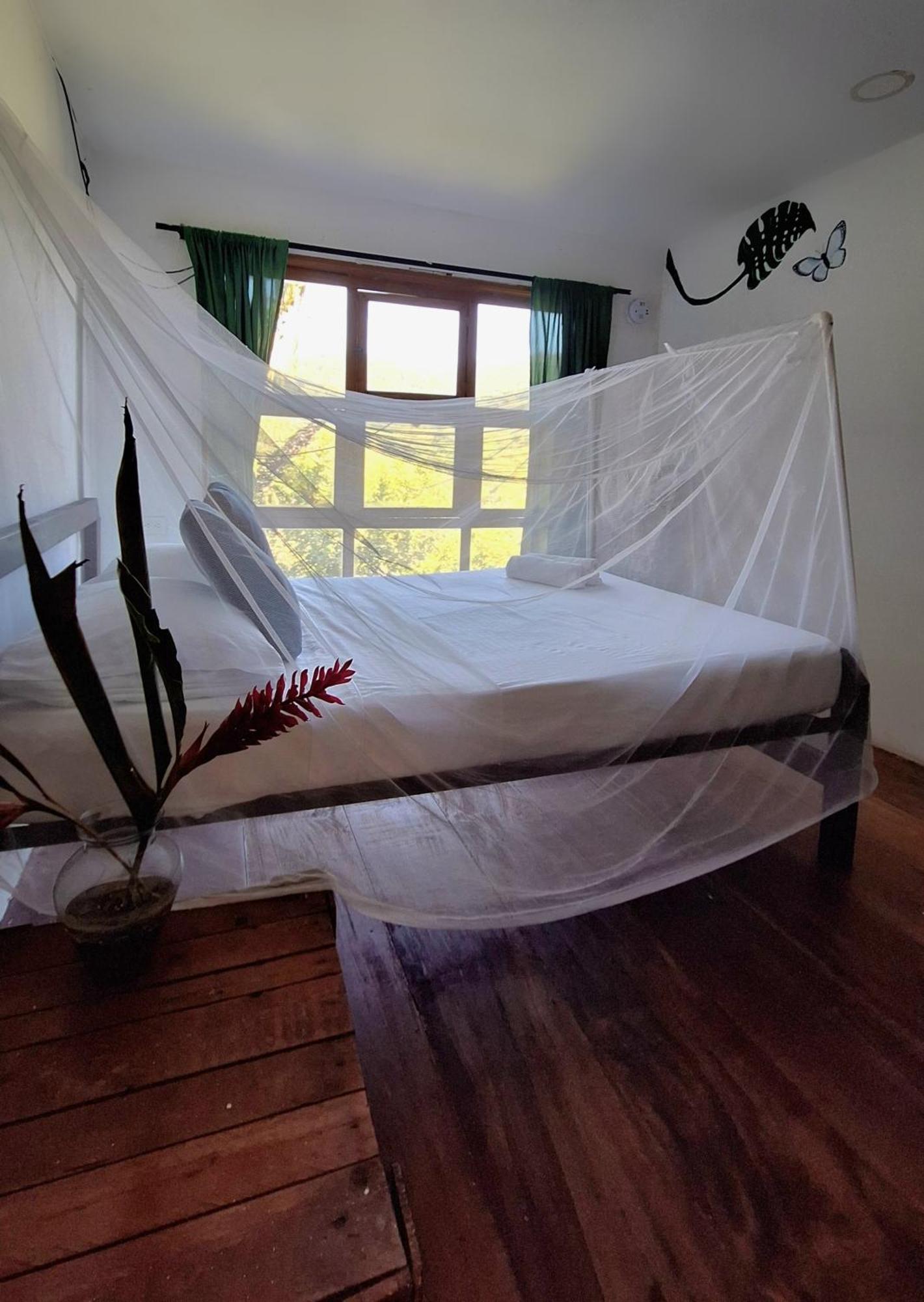 Hostal Mama Tayrona Calabazo  Exteriör bild