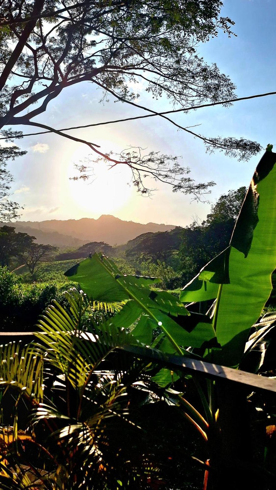 Hostal Mama Tayrona Calabazo  Exteriör bild