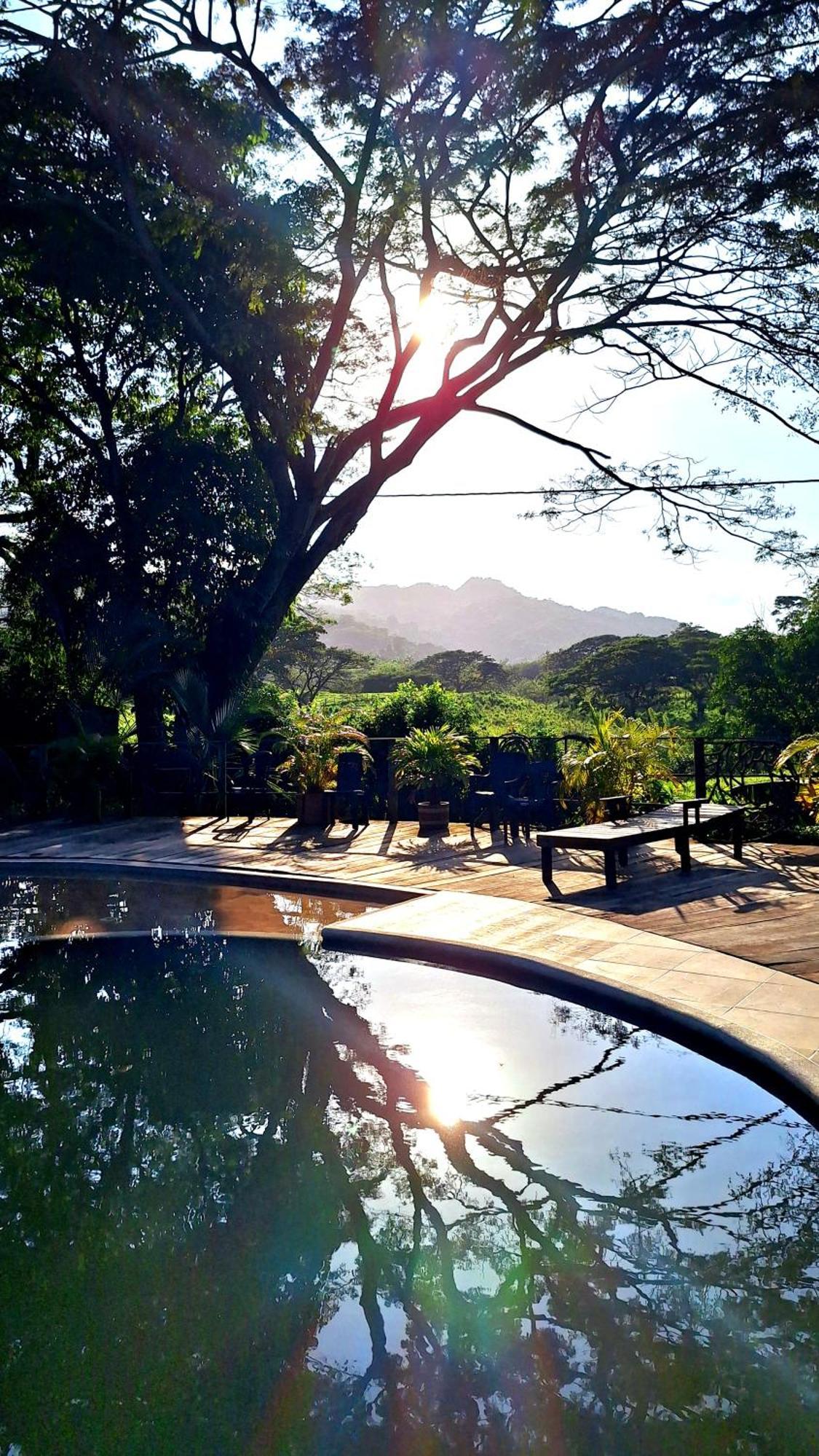 Hostal Mama Tayrona Calabazo  Exteriör bild