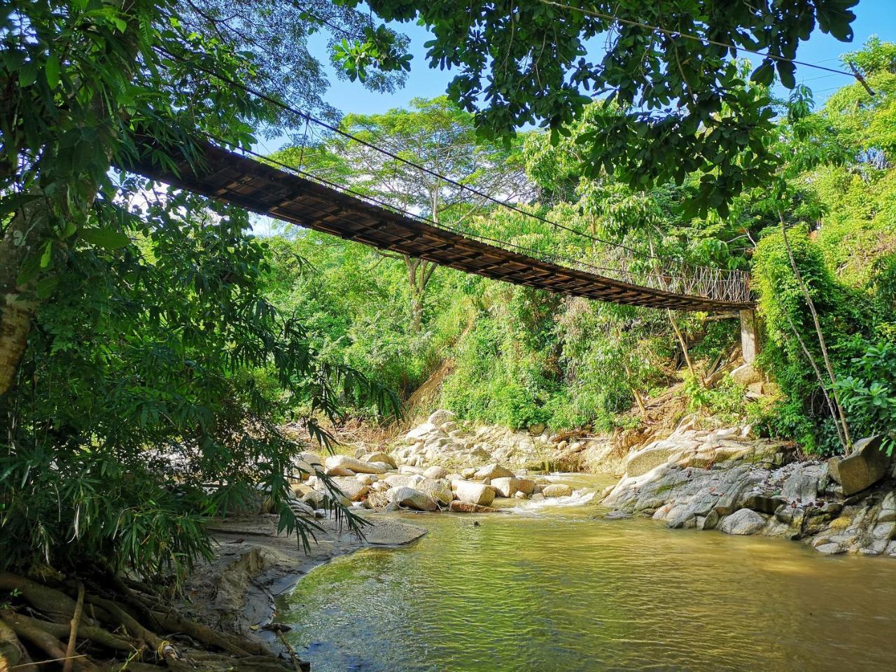 Hostal Mama Tayrona Calabazo  Exteriör bild