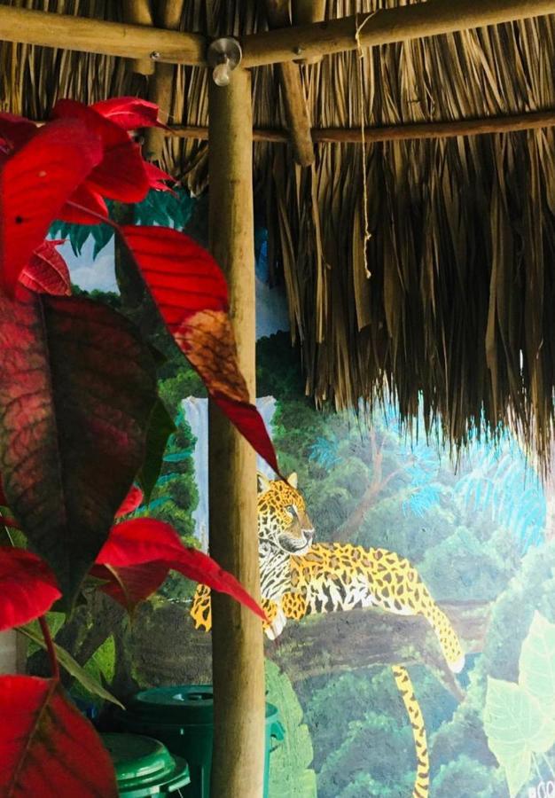 Hostal Mama Tayrona Calabazo  Exteriör bild
