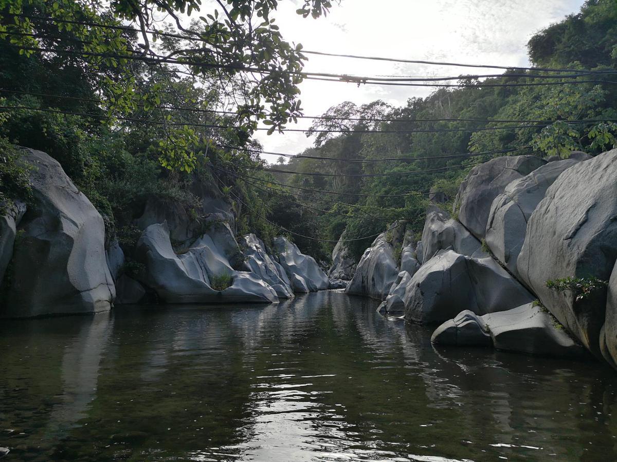 Hostal Mama Tayrona Calabazo  Exteriör bild