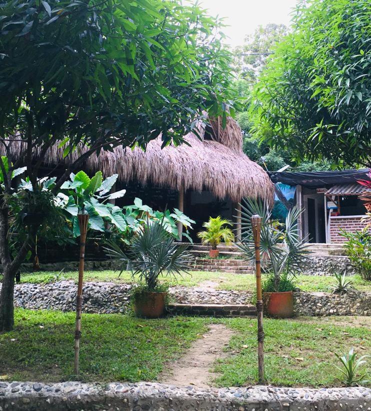 Hostal Mama Tayrona Calabazo  Exteriör bild