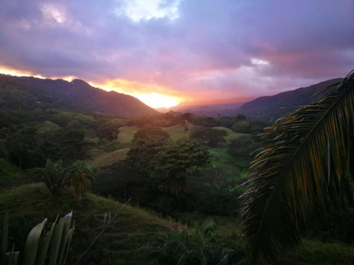 Hostal Mama Tayrona Calabazo  Exteriör bild